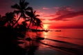 Silhouetted palm A tranquil beach scene with a palm tree Royalty Free Stock Photo