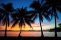 silhouetted palm trees against twilight beach sky