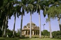 Silhouetted palm trees, lodhi gardens