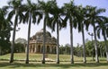 Silhouetted palm trees, lodhi gardens