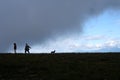 Silhouetted people walking dog