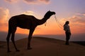 Silhouetted person with a camel at sunset, Thar desert near Jais