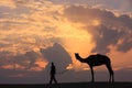 Silhouetted person with a camel at sunset, Thar desert near Jais