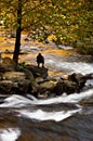 A silhouetted person watches the currents in a mountain river.