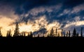 Silhouetted pine forest with dramatic cloudy sunset sky during twilight