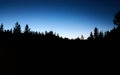 Silhouetted pine trees at dusk in the Caribou-Targhee National Forest, Idaho