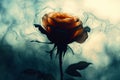 Silhouetted Rose Enveloped in Ethereal Wisps of Color and Light. Generative AI