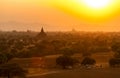 Burmese Herding at Sunset in Bagan