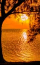 Silhouetted Tree Framing Sunset Royalty Free Stock Photo