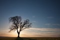 Silhouetted tree on a hilltop at sunset Royalty Free Stock Photo