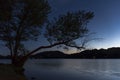 Silhouetted Tree over a Lake Royalty Free Stock Photo