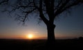 Silhouetted tree at sunset Royalty Free Stock Photo