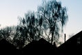 Silhouetted trees and buildings of house exteriors at dusk on a clear evening