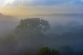 Silhouetted Trees in the Early Morning Fog in the Rainforest Royalty Free Stock Photo