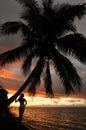 Silhouetted young woman by the palm tree on a beach, Vanua Levu Royalty Free Stock Photo