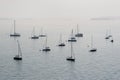 Silhouettes of anchored sailing boats in the mist