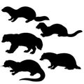 Silhouettes animal Royalty Free Stock Photo
