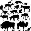 Silhouettes of animals