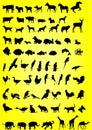 Silhouettes of animals