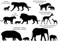Silhouettes of animals of Africa with cubs