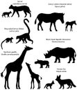 Silhouettes of animals of Africa with cubs