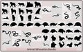 silhouettes of animals ,Animals,Zoo animals collection ,African animals silhouette