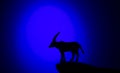 Silhouettes of animals on blue background Royalty Free Stock Photo