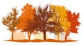 Silhouettes of autumn trees park, forest bright colors. Silhouettes of bare trees without foliage. Vector illustration Royalty Free Stock Photo