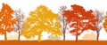 Silhouettes of autumn trees park, forest seamless pattern. Vector illustration