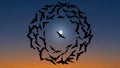 Of bats Chiroptera species form a circular pattern around a full Royalty Free Stock Photo
