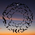(Order Chiroptera) form a spiral pattern against a twilight sky Royalty Free Stock Photo