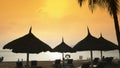 Silhouettes of beach chairs in the evening sky in Vietnam with palm trees. View of umbrellas from a creek on the beach Royalty Free Stock Photo