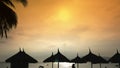 Silhouettes of beach chairs in the evening sky in Vietnam with palm trees. View of umbrellas from a creek on the beach Royalty Free Stock Photo