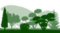 Silhouettes of beautiful ornamental trees in the Botanical garden. Vector illustration