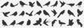 Silhouettes of birds doodle set