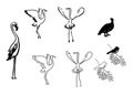 Silhouettes of birds - set - vector Royalty Free Stock Photo