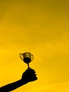 Silhouettes boy with a cup and sun set nature Royalty Free Stock Photo