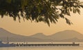 Silhouettes of branches of acacia,mount, pier,boats