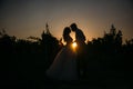 Silhouettes bride groom standing on the vineyard and tenderly looking at each other at sunset. Concept of love and Royalty Free Stock Photo