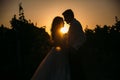 Silhouettes bride groom standing on the vineyard and tenderly looking at each other at sunset. Concept of love and Royalty Free Stock Photo