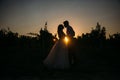 Silhouettes bride groom standing on the vineyard and tenderly looking at each other at sunset. Concept of love and Royalty Free Stock Photo