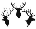 Silhouettes of the buck`s heads Royalty Free Stock Photo
