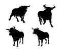 Silhouettes of bull Royalty Free Stock Photo