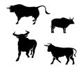 Silhouettes of bull Royalty Free Stock Photo