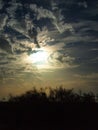 Silhouettes of bushes on sunset background Royalty Free Stock Photo