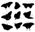 Silhouettes of buttefly isolated on white background. Vector illustration