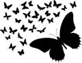 Silhouettes of butterflies