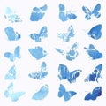 Silhouettes of butterflies in watercolors in blue.