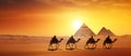 Silhouettes of camels against the background of the pyramids of Giza, sunset