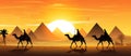 Silhouettes of camels against the background of the pyramids , sunset Royalty Free Stock Photo